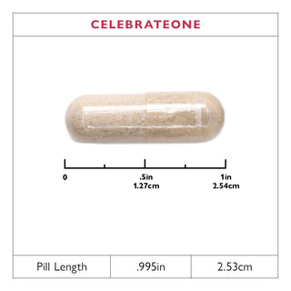 CelebrateONE Bariatric One A Day Multivitamin Capsule, fără fier 